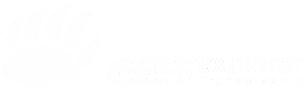 GS Explorer